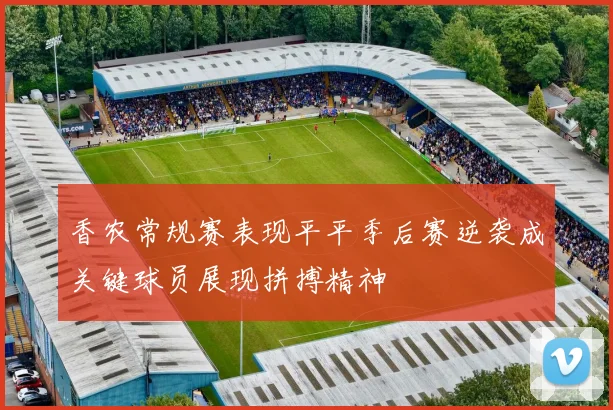 香农常规赛表现平平季后赛逆袭成关键球员展现拼搏精神